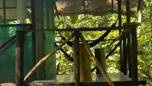 As cabanas têm vista para a selva e para o rio.