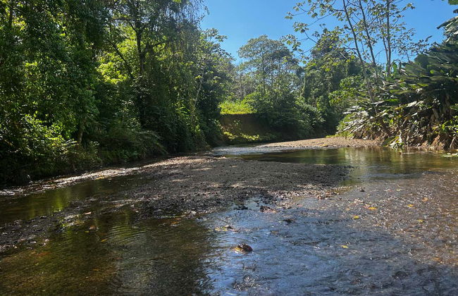 Excursión de 1 o 2 días a la finca Río Agujitas - Foto 3