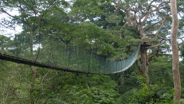 Marasha Natural Reserve Tour - Foto 2