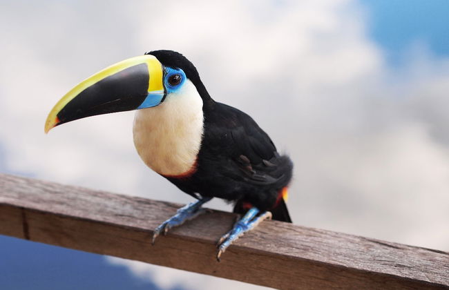 Escursione alla Riserva Naturale Marasha - Foto 3