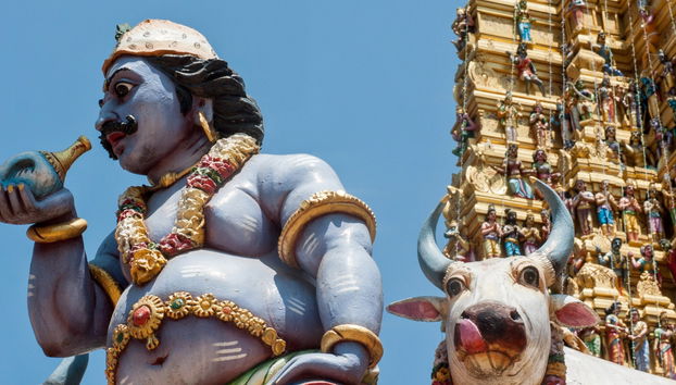 Colombo Private Tour - Photo 5