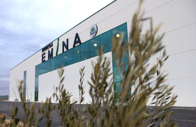 Visita à Bodega Emina Rueda - Foto 1