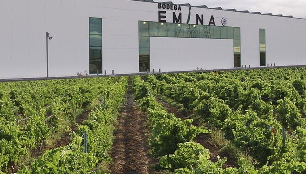 Visita à Bodega Emina Rueda - Foto 5
