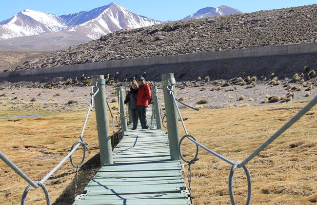Excursão ao Parque Nacional Lauca - Foto 2