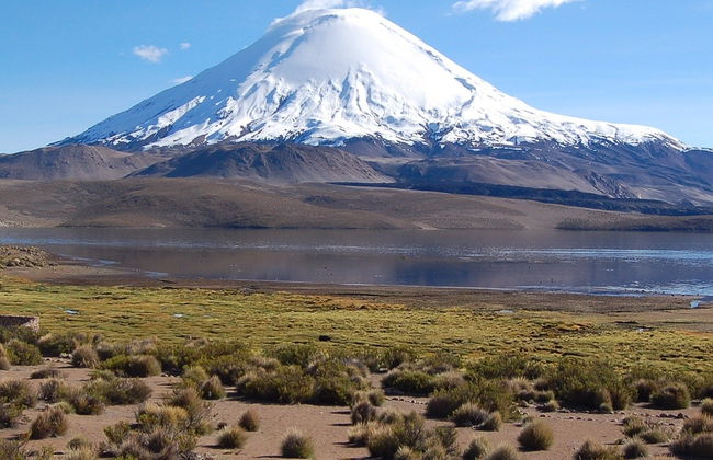 Excursão ao Parque Nacional Lauca - Foto 7