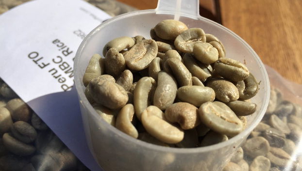 Excursión a Villa Rica - Foto 5