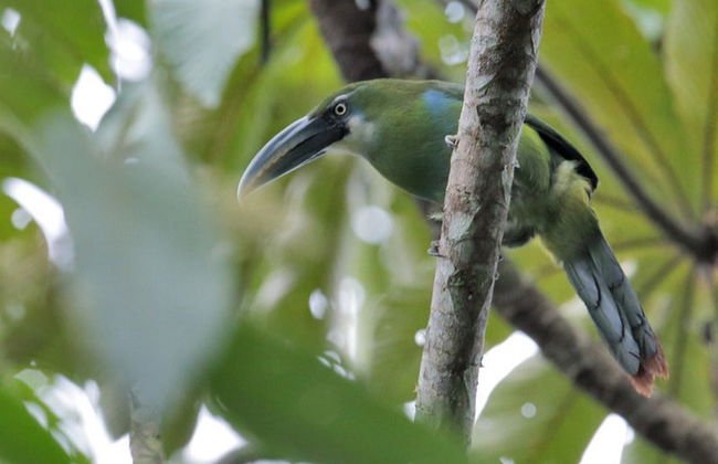 Villa Rica Tour - Photo 6