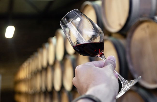 Visita a Bodegas y Viñedos Casa del Valle - Foto 6