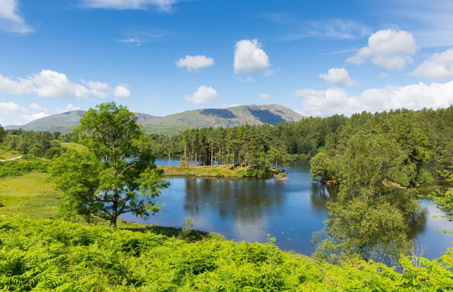 Tour de Beatrix Potter por el Distrito de los Lagos - Foto 6