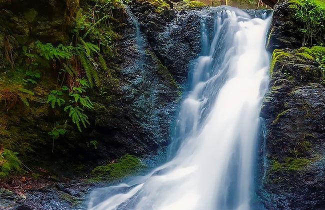 Excursión a las cascadas Caracas, Pelton y Santuario - Foto 3
