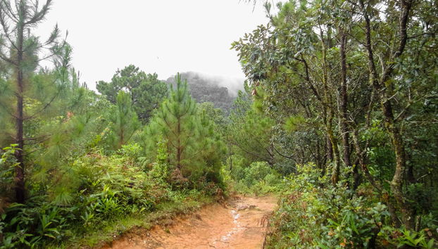 Langbiang Mountain Trek - Foto 4