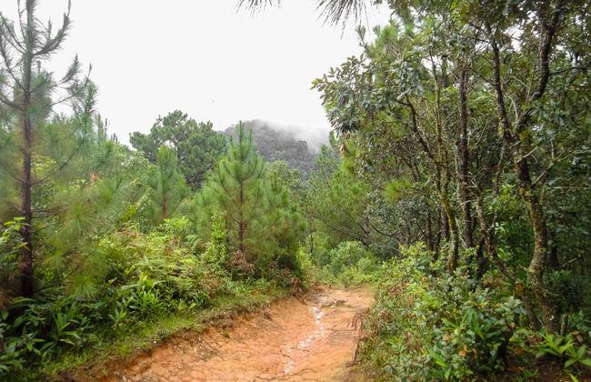 Langbiang Mountain Trek - Foto 4