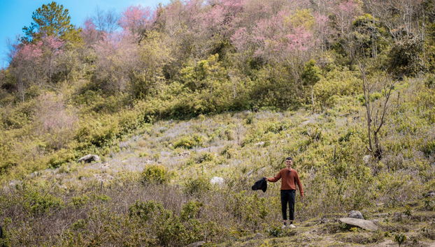 Langbiang Mountain Trek - Foto 5