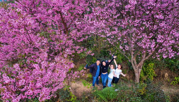 Langbiang Mountain Trek - Foto 2