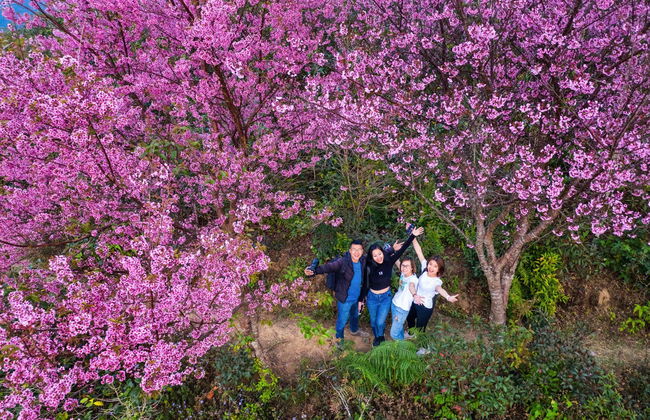 Langbiang Mountain Trek - Foto 2