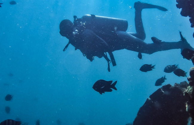 Buceo en San Bartolo - Foto 8