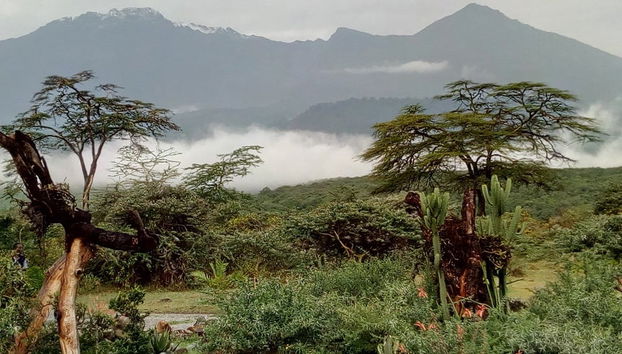 Mount Meru 5-Day Hike - Photo 4