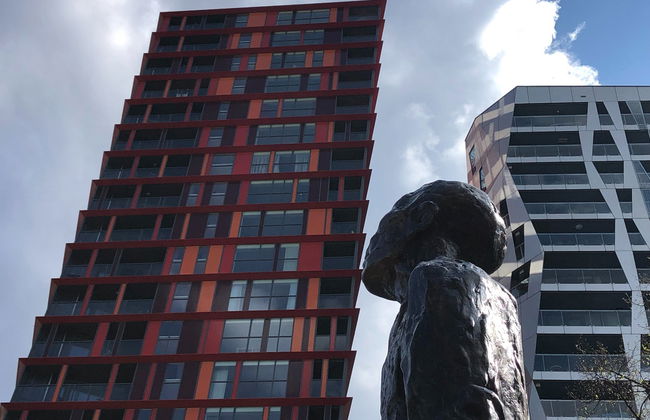 Tour dell'arte e dell'architettura di Rotterdam - Foto 7