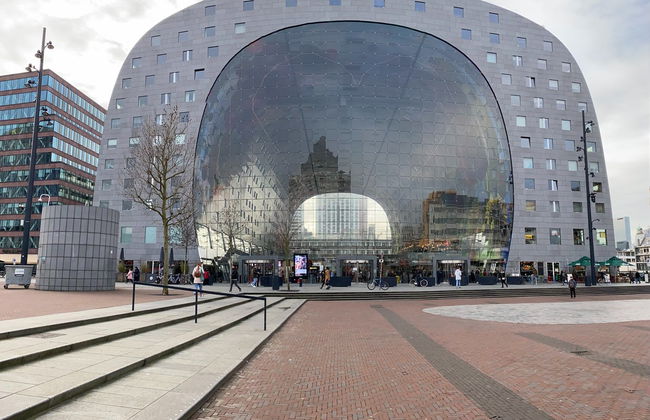 Tour dell'arte e dell'architettura di Rotterdam - Foto 5