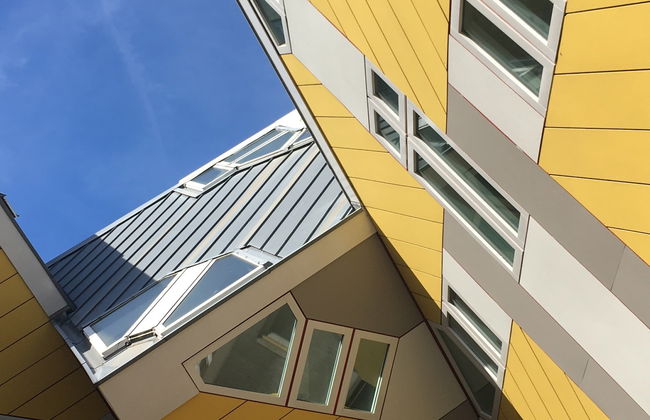 Tour dell'arte e dell'architettura di Rotterdam - Foto 8