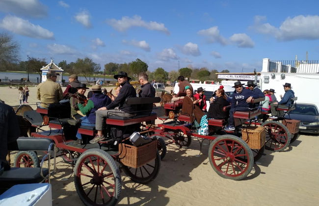 Balade privée en charrette dans les environs de Doñana et d'El Rocío - Photo 3