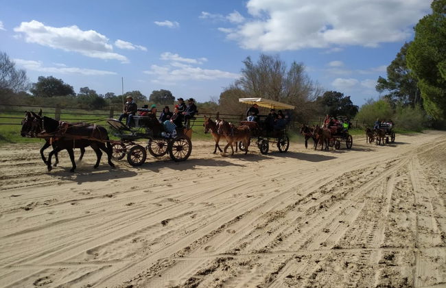 Balade privée en charrette dans les environs de Doñana et d'El Rocío - Photo 1