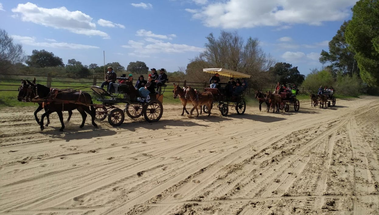 Paseo privado en carreta por los alrededores de Doñana y El Rocío - Foto 1
