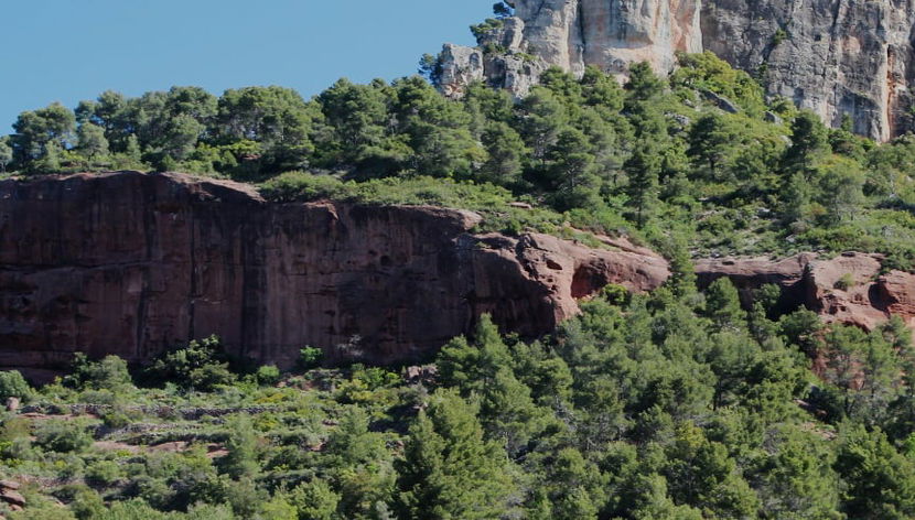 Tour por Priorat - Foto 3