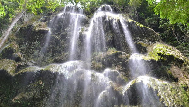 Avistamiento de tiburón ballena en Oslob - Foto 3