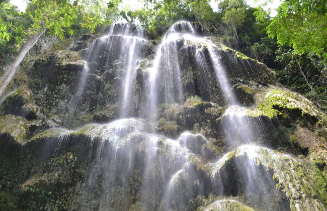 Avistamiento de tiburón ballena en Oslob - Foto 3