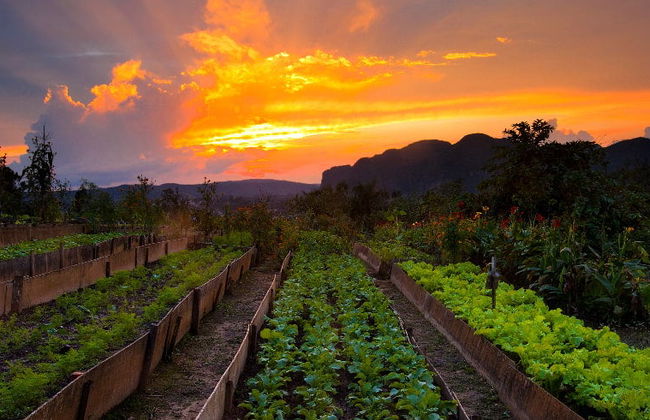 Viñales Sunset Hike - Foto 3