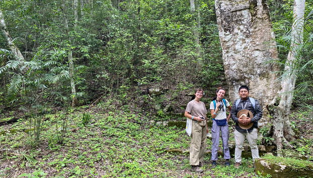 Calakmul Day Trip - Foto 3