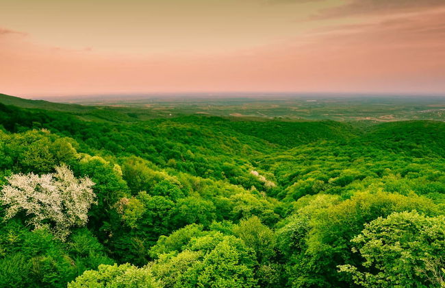 Excursion à Novi Sad, Fruska Gora et Sremski Karlovci avec dégustation de vins - Photo 1