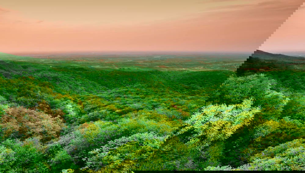 Excursion à Novi Sad, Fruska Gora et Sremski Karlovci avec dégustation de vins - Photo 1