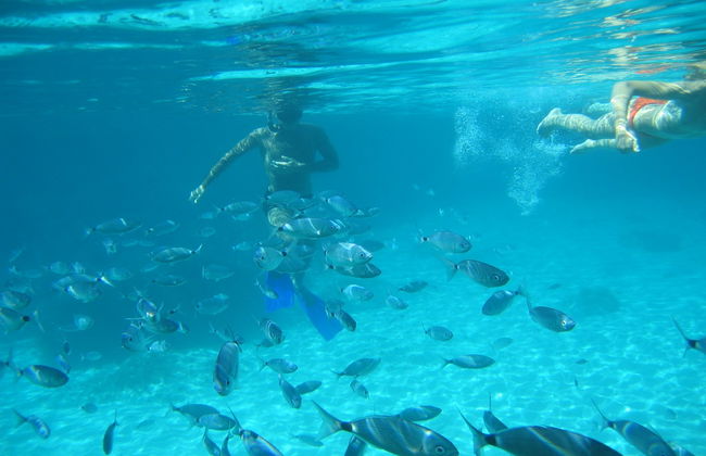 Paseo en lancha con snorkel por Formentera - Foto 4