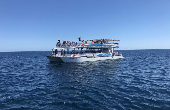 Paseo en catamarán por el Mar de Cortés - Foto 2