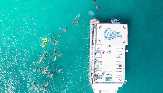 Los Cabos Boat Ride - Foto 2