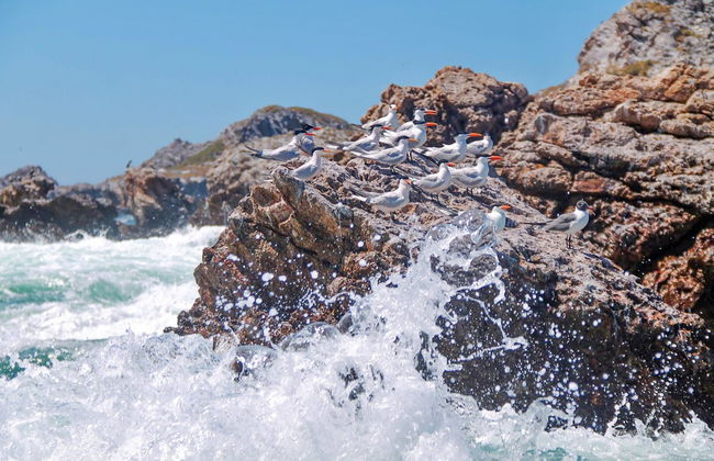 Excursión a la playa del Amor - Foto 4