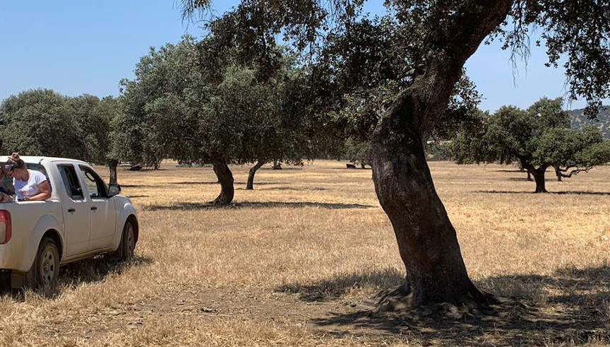 Tour in Badajoz - Photo 1