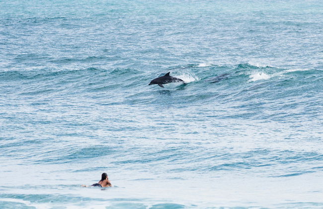 Gold Coast Surfing Adventure - Photo 2