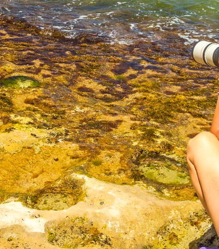 Foto - Tour fotográfico de Oahu