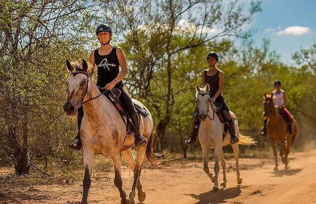 Paseo a caballo por Kusadasi - Foto 2