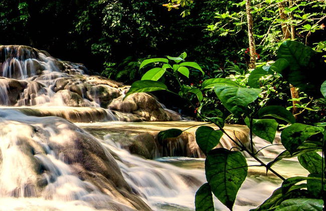 Excursión a Ocho Ríos + Cascadas del río Dunn - Foto 1