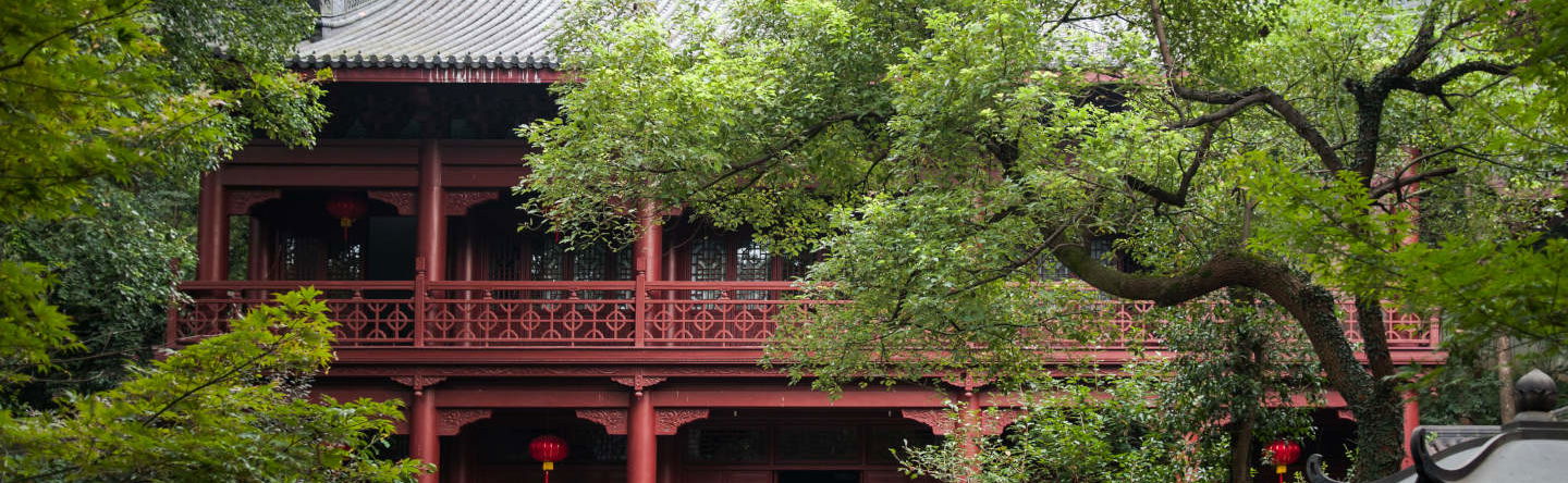 Escursione privata al Tempio di LingYin e Lago dell'ovest - Foto 1