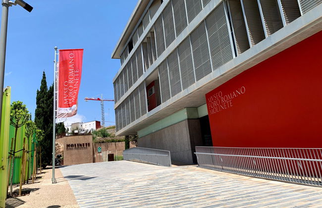 Billet pour l'Augusteum - Photo 7