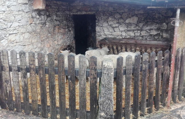 Excursión a Fátima y Aljustrel - Foto 3