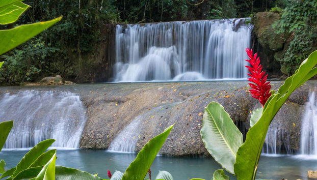 Excursión a Río Negro y Cataratas YS - Foto 4