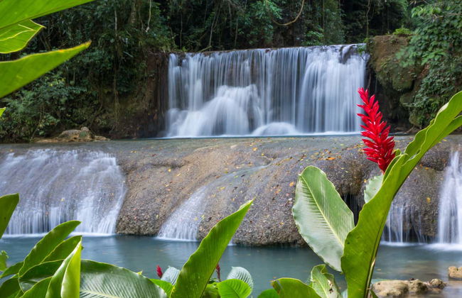 Excursión a Río Negro y Cataratas YS - Foto 4
