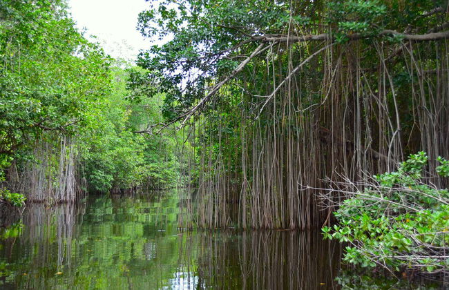 Excursión a Río Negro y Cataratas YS - Foto 7