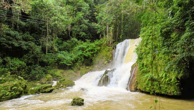 Excursión a Río Negro y Cataratas YS - Foto 5